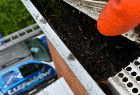 Gutter Cleaning