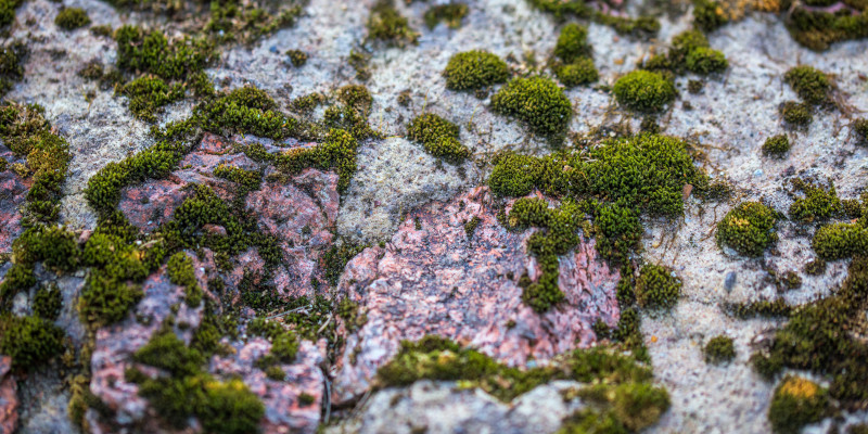 Here’s How Concrete Cleaning Improves the Safety of Your Home