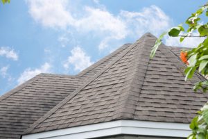 Insurance Roof Cleaning in Mentor, Ohio