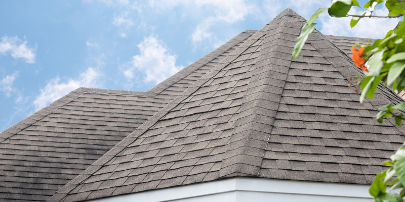 Insurance Roof Cleaning in Mentor, Ohio
