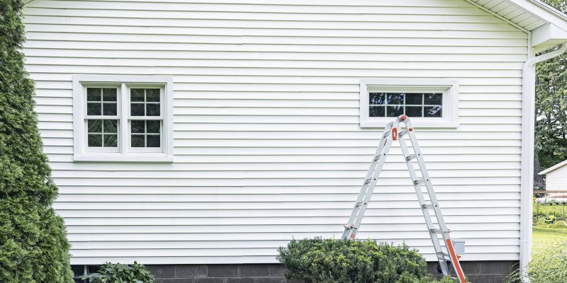 Are You Interested in Soft Washing?